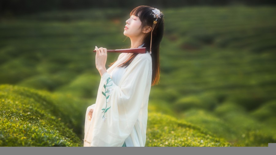 XCSEO服装seo推广公司排名指南