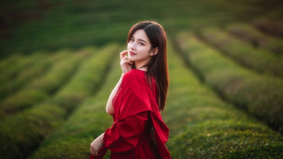 h2XCSEO运城SEO优化排名靠前的专业策略h2